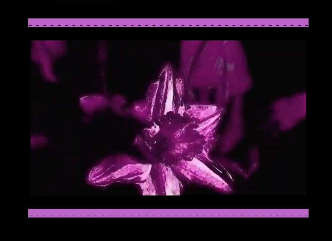 extrait de la page messyflowerzz